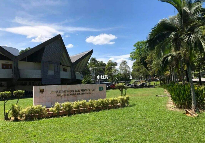 马来亚大学本科